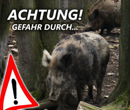 Achtung Wildschweine2